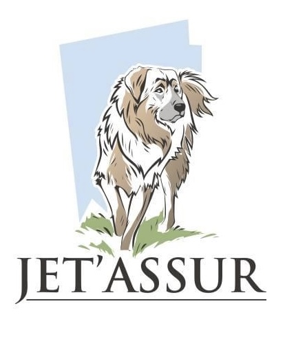 Jet'Assur logo